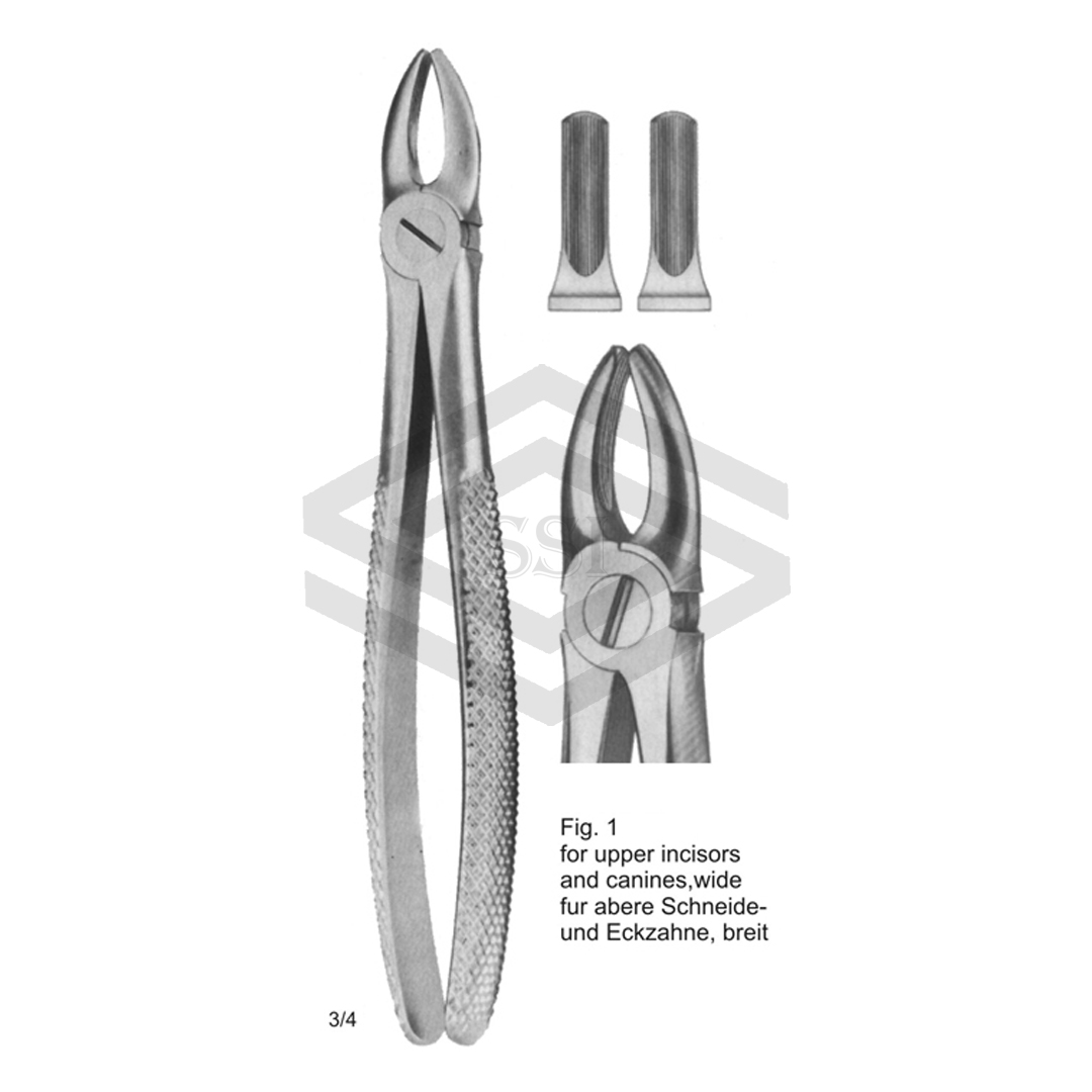 Dental Tooth Extraction Forcep For Upper Incisors & Canines Fig#1 | SSI-TFE-1101