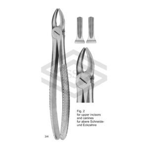Dental Tooth Extraction Forcep For Upper Incisors & Canines Fig#2 | SSI-TFE-1102